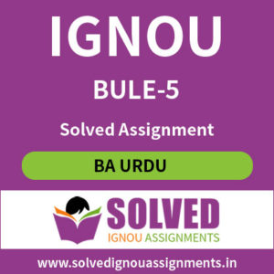 BU:E 5 solved assignment
